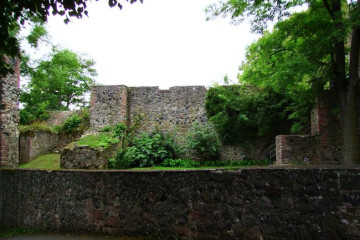 29 Amoeneburg-rundweg-Burgruine